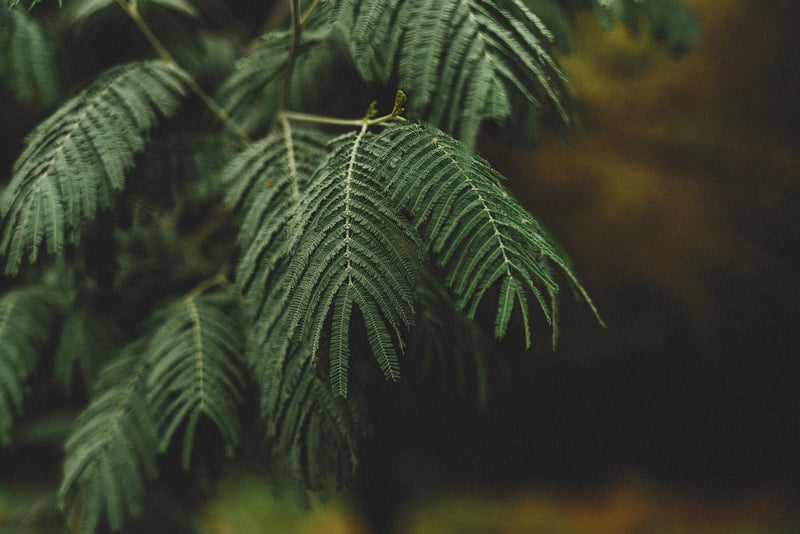 Fictional Greenery