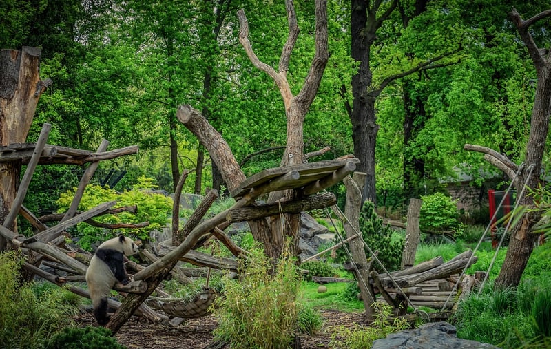 Magical Fauna Enclosures